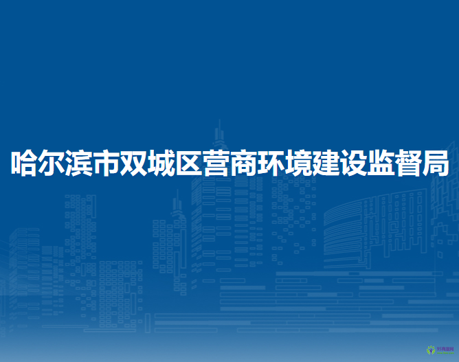 哈尔滨市双城区营商环境建设监督局