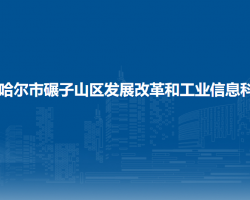 齐齐哈尔市碾子山区发展改革和工业信息科技局