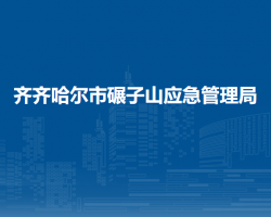 齐齐哈尔市碾子山应急管理局