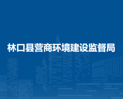 林口县营商环境建设监督局