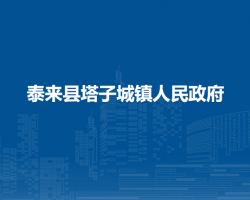 泰来县塔子城镇人民政府