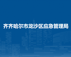 齐齐哈尔市龙沙区应急管理局