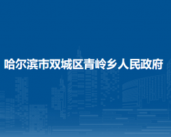 哈尔滨市双城区青岭乡人民政府默认相册