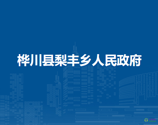 桦川县梨丰乡人民政府