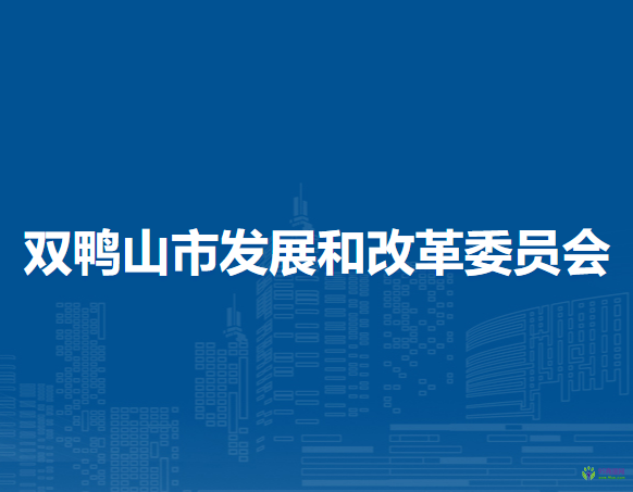 双鸭山市发展和改革委员会