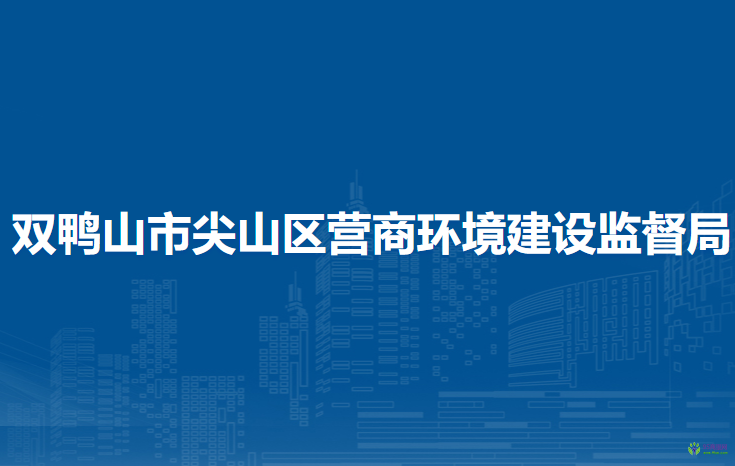 双鸭山市尖山区营商环境建设监督局