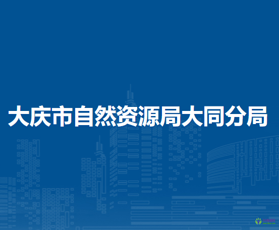 大庆市自然资源局大同分局