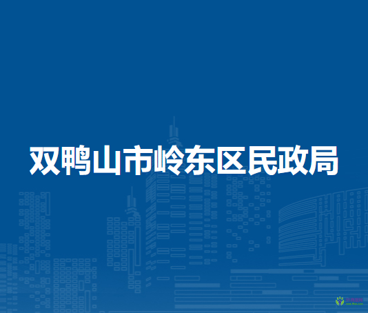 双鸭山市岭东区工业和信息化局