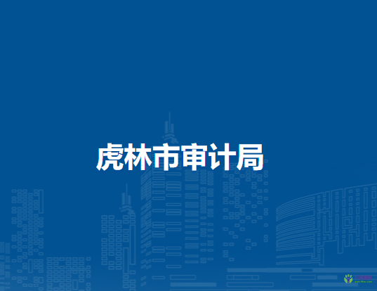 虎林市审计局