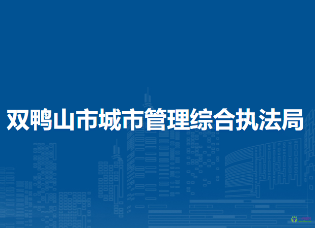 双鸭山市城市管理综合执法局