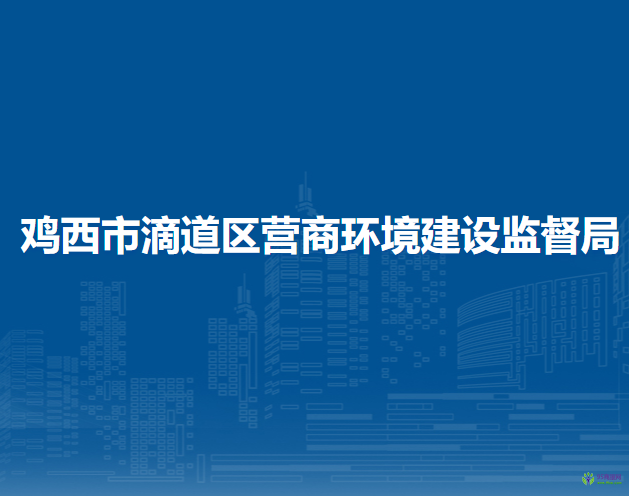 鸡西市滴道区营商环境建设监督局