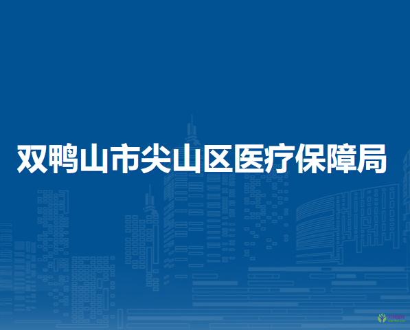 双鸭山市尖山区医疗保障局