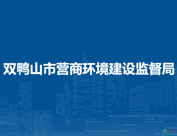 双鸭山市营商环境建设监督局