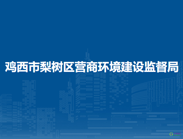 鸡西市梨树区营商环境建设监督局