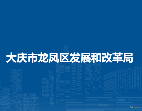 大庆市龙凤区发展和改革局