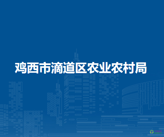 鸡西市滴道区农业农村局