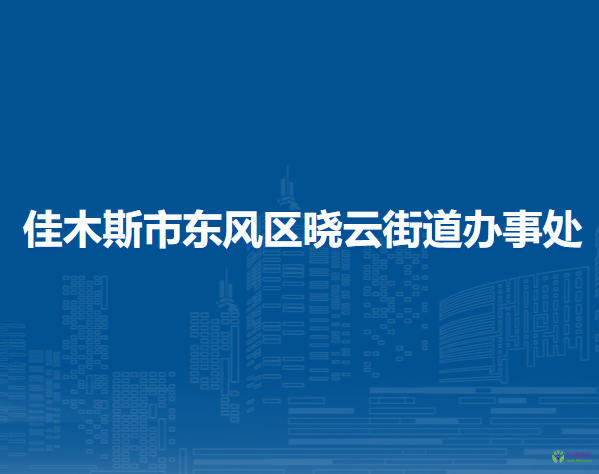 佳木斯市东风区晓云街道办事处