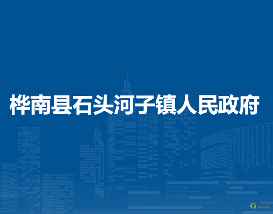 桦南县石头河子镇人民政府