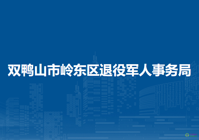 双鸭山市岭东区退役军人事务局