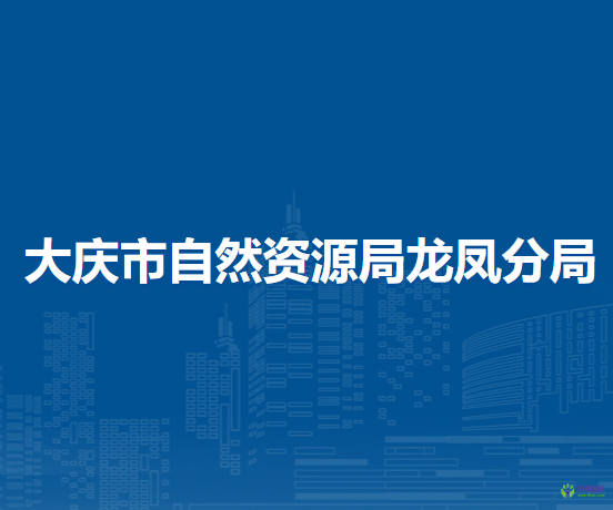 大庆市自然资源局龙凤分局