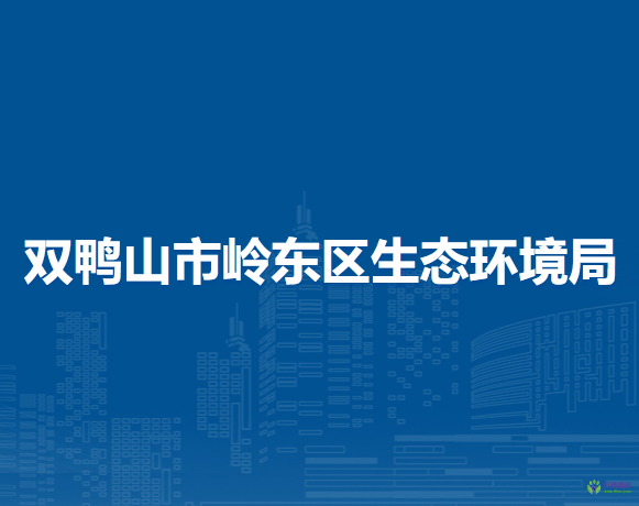 双鸭山市岭东区生态环境局