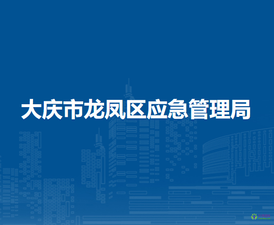 大庆市龙凤区应急管理局