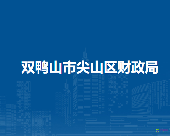 双鸭山市尖山区财政局