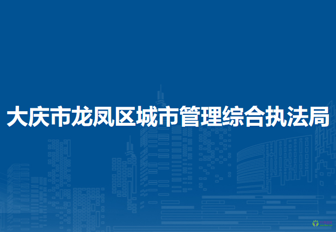 大庆市龙凤区城市管理综合执法局