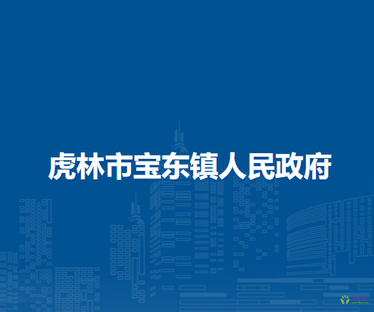 虎林市宝东镇人民政府