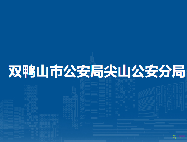 双鸭山市公安局尖山公安分局