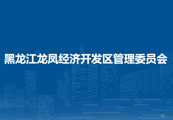 黑龙江龙凤经济开发区管理委员会