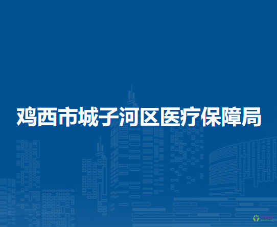 鸡西市城子河区医疗保障局