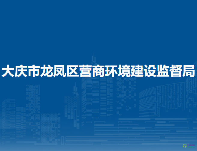 大庆市龙凤区营商环境建设监督局