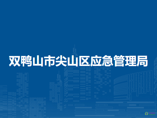 双鸭山市尖山区应急管理局