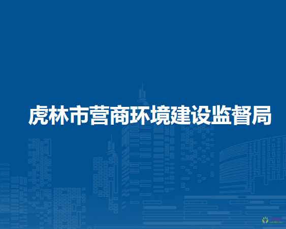 虎林市营商环境建设监督局