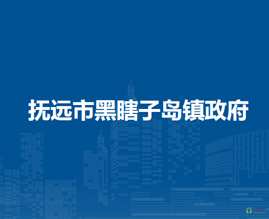 抚远市黑瞎子岛镇政府