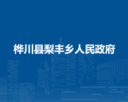 桦川县梨丰乡人民政府