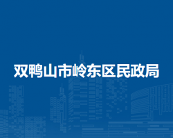 双鸭山市岭东区工业和信息化局