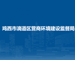 鸡西市滴道区营商环境建设监督局"