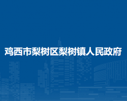 鸡西市梨树区梨树镇人民政府