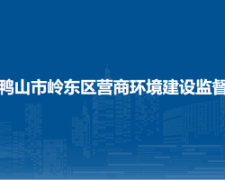 双鸭山市岭东区营商环境建设监督局"