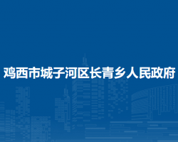 鸡西市城子河区长青乡人民政府