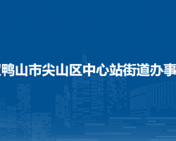 双鸭山市尖山区中心站街道办事处