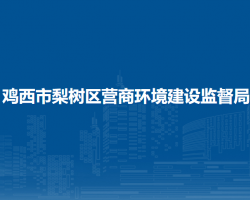 鸡西市梨树区营商环境建设监督局