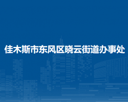 佳木斯市东风区晓云街道办事处