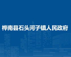 桦南县石头河子镇人民政府