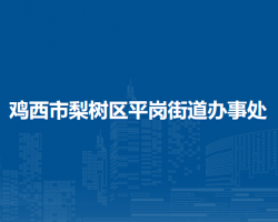 鸡西市梨树区平岗街道办事处