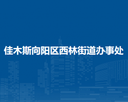 佳木斯向阳区西林街道办事处