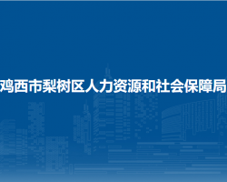 鸡西市梨树区人力资源和社会保障局