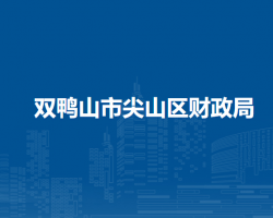 双鸭山市尖山区财政局